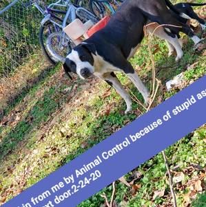 Meet your Posher, Judy